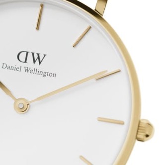 1 - Daniel Wellington DW00100348 woman time only watch steel Petite Evergold collection