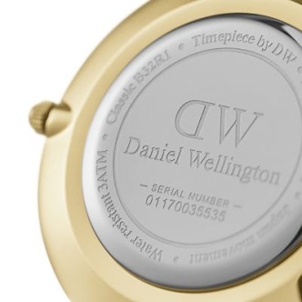 1 - Daniel Wellington DW00100348 woman time only watch steel Petite Evergold collection