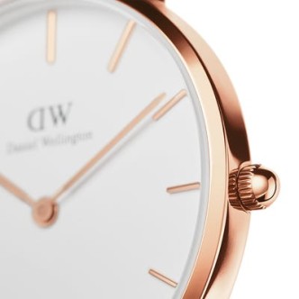 1 - Watch only time woman Daniel Wellington DW00100317 steel Petite Rosewater collection