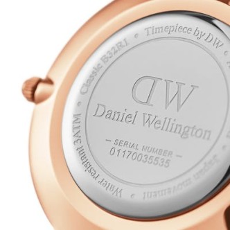 1 - Watch only time woman Daniel Wellington DW00100317 steel Petite Rosewater collection