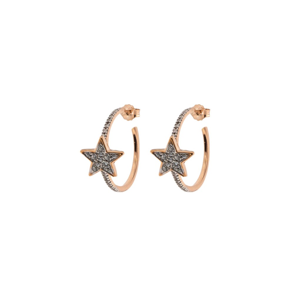 1 - Rue des Mille star earrings with zircons ORZ-004 STE 925 silver Stardust collection