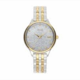 1 - Stroili woman time only watch 1668493 steel Niagara collection