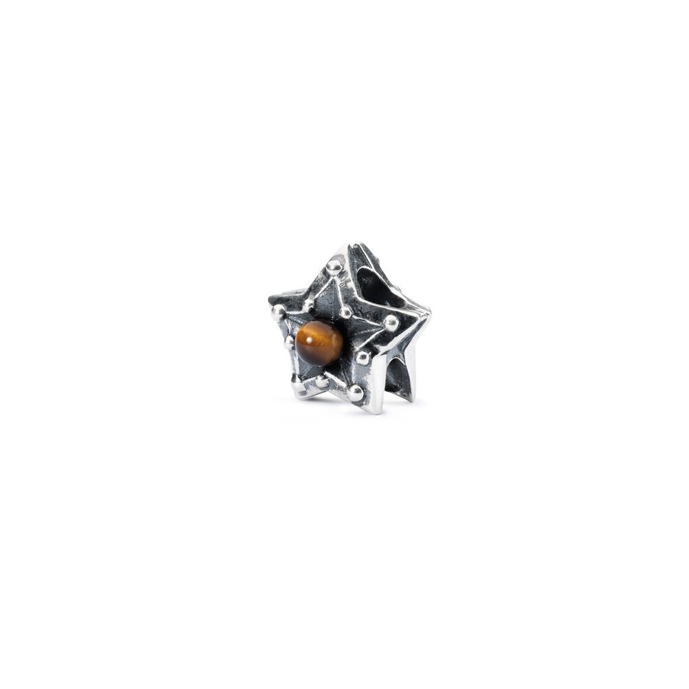 1 - Trollbeads Gemini Star TAGBE-00217 Silver with Tiger's eye