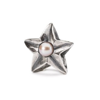 1 - Trollbeads Star of romance TAGBE-00272 Silver with stone