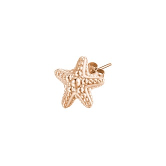 1 - Money Clip starfish Rosato RZO031 925 Into the Blue