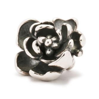 1 - Rosa Angelica Trollbeads Silver 925 TAGPE-00003