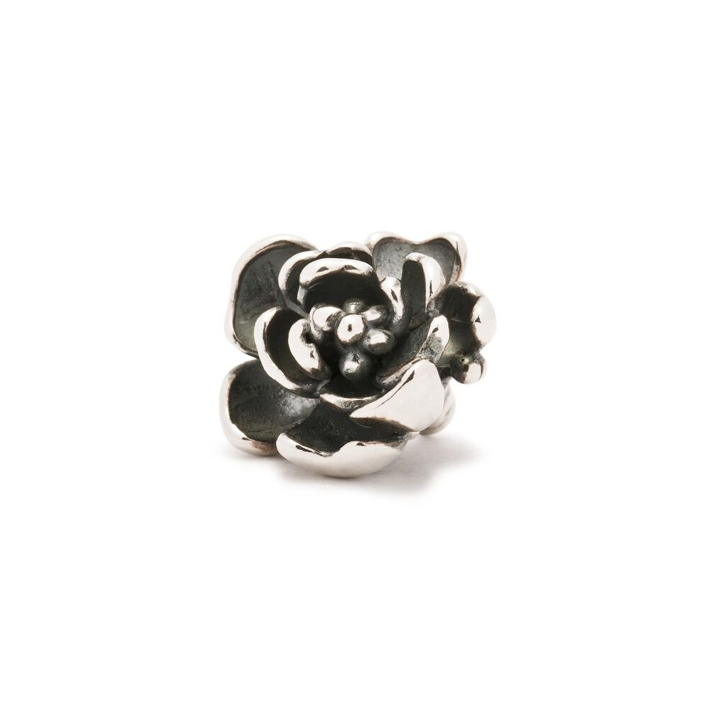 1 - Rosa Angelica Trollbeads Silver 925 TAGPE-00003