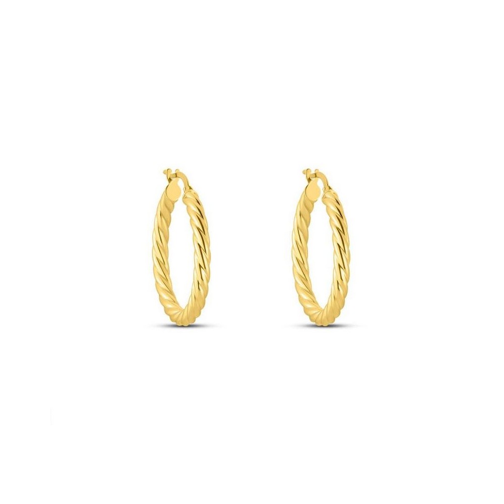 1 - 9Kt Yellow Gold Circle Earrings Stroili Toujours 1418290