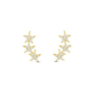 1 - Women's starfish earrings in 9Kt yellow gold Stroili Bon Ton 1418102