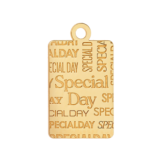 1 - 22Kt Gold Bar Special Day rectangle height 14 mm pendant code. CPRS