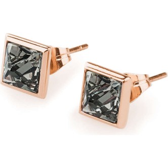 1 - Brosway earrings BPL23 steel 316L Polar collection