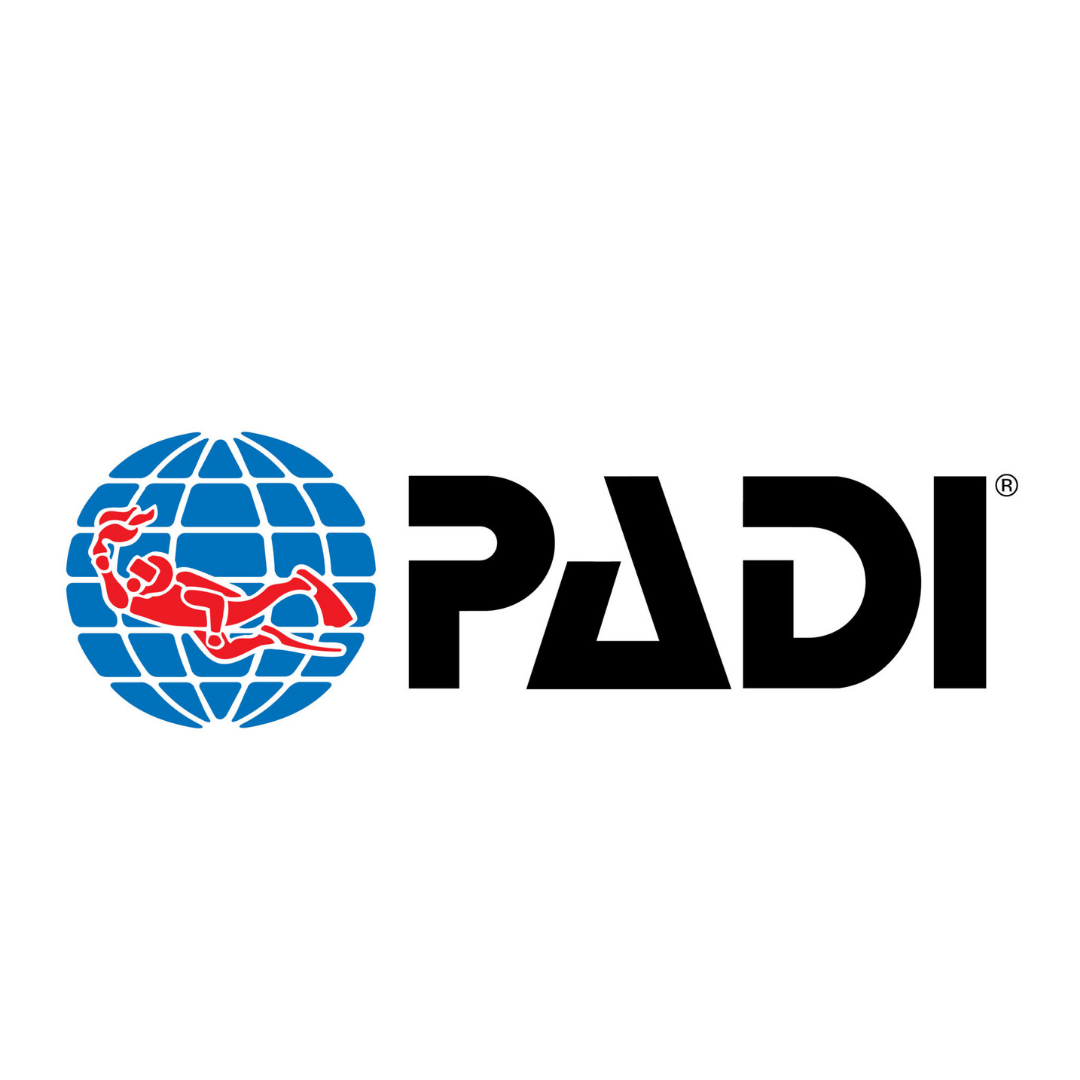 Associazione PADI: Immersione sulla nascita e curiosità dei segreti subacquei